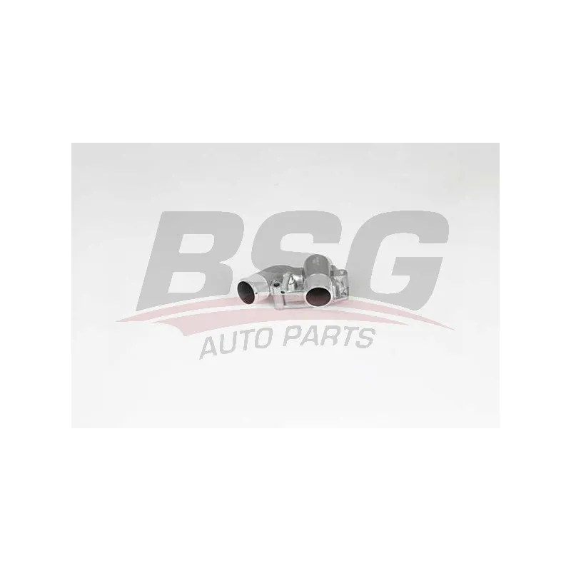 Thermostat d'eau BSG BSG 65-126-009