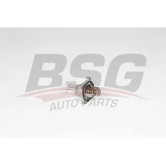 Thermostat d'eau BSG BSG 65-126-011