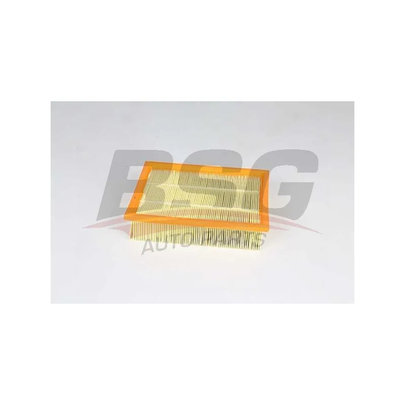 Filtre à air BSG BSG 65-135-028