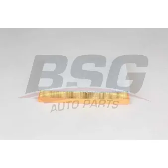 Filtre à air BSG BSG 65-135-029