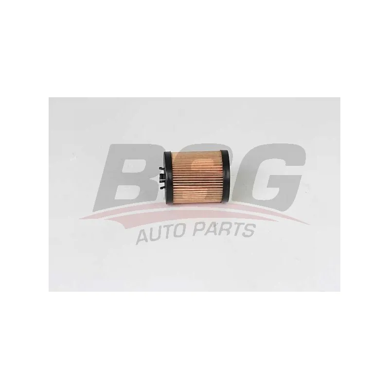 Filtre à huile BSG BSG 65-140-009
