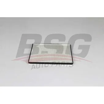 Filtre, air de l'habitacle BSG BSG 65-145-014
