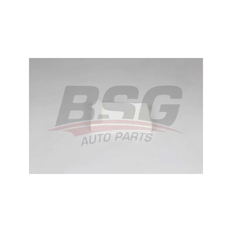 Filtre, air de l'habitacle BSG BSG 65-145-015