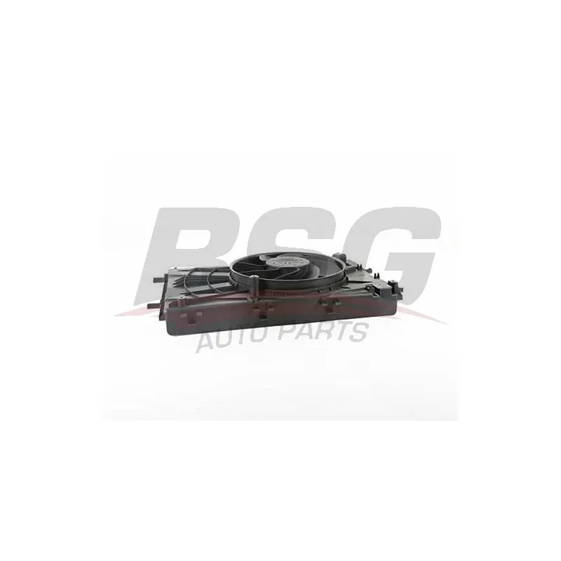 Ventilateur, refroidissement du moteur BSG BSG 65-510-031