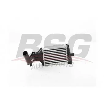 Intercooler, échangeur BSG BSG 65-535-004