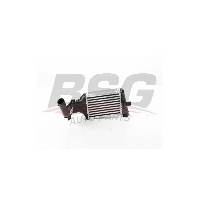 Intercooler, échangeur BSG BSG 65-535-004