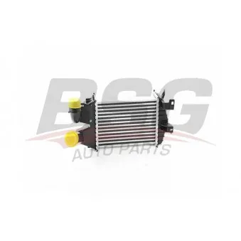 Intercooler, échangeur BSG BSG 65-535-006