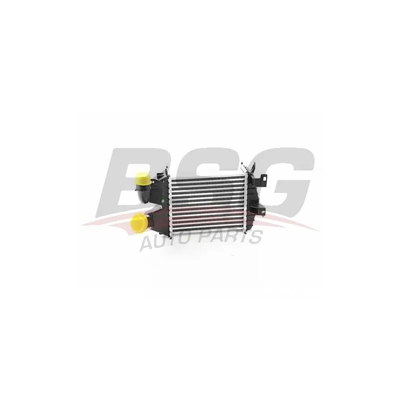 Intercooler, échangeur BSG BSG 65-535-006