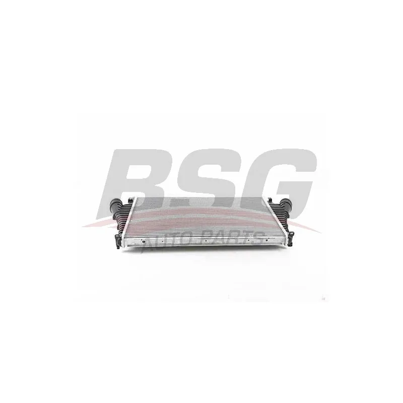 Intercooler, échangeur BSG BSG 65-535-008