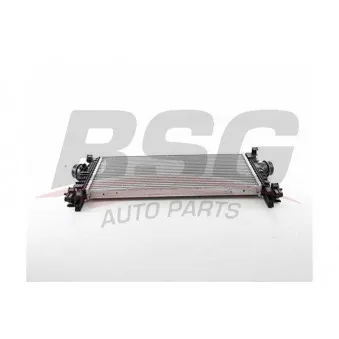 Intercooler, échangeur BSG BSG 65-535-015