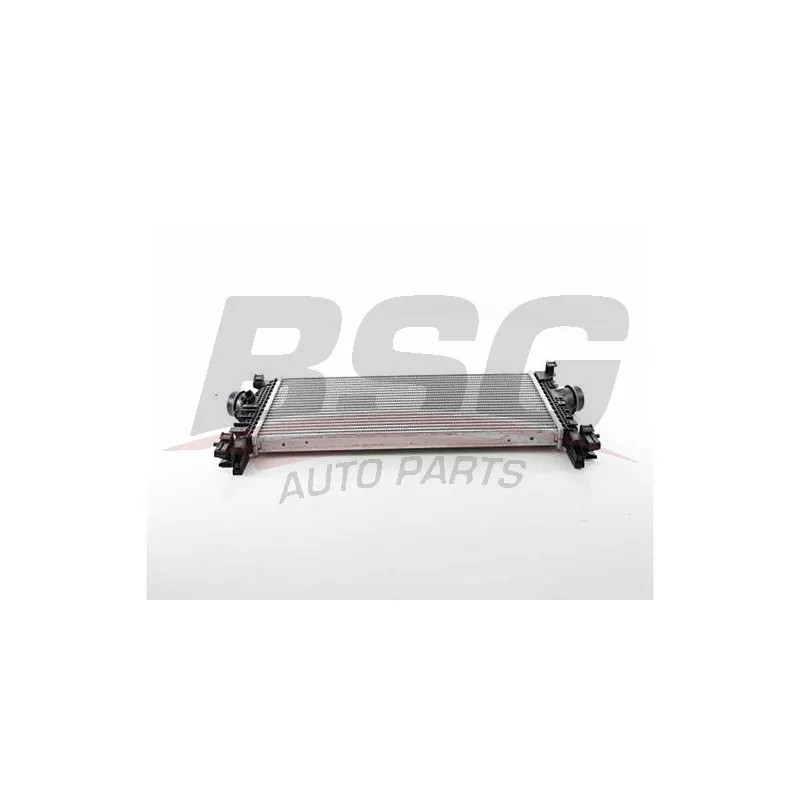 Intercooler, échangeur BSG BSG 65-535-015