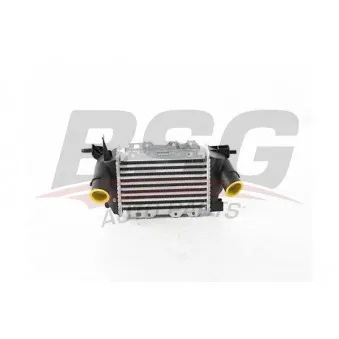 Intercooler, échangeur BSG BSG 65-535-019