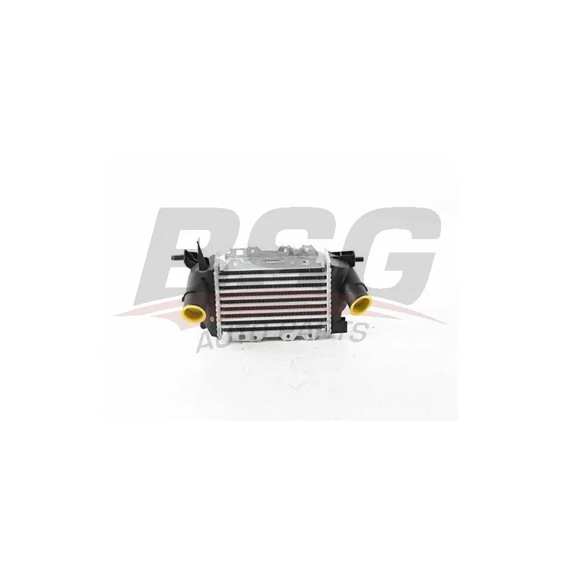 Intercooler, échangeur BSG BSG 65-535-019