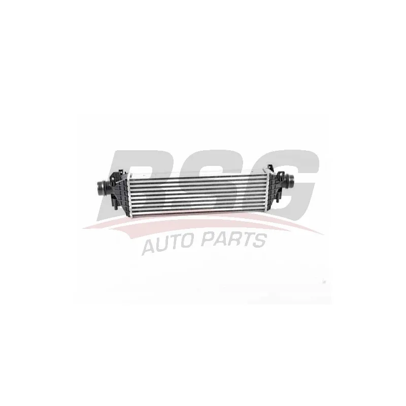 Intercooler, échangeur BSG BSG 65-535-021
