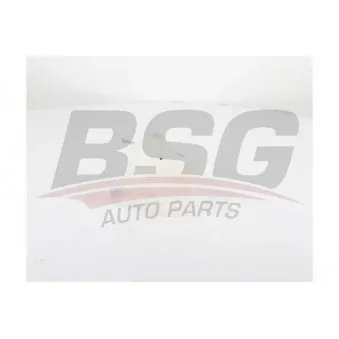 Vase d'expansion, liquide de refroidissement BSG BSG 65-550-015