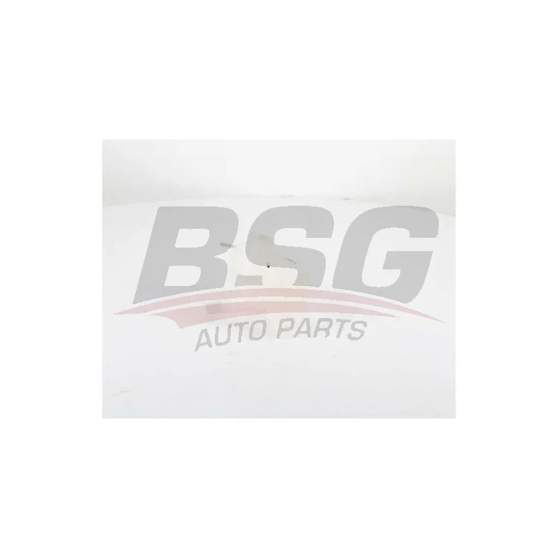 Vase d'expansion, liquide de refroidissement BSG BSG 65-550-015