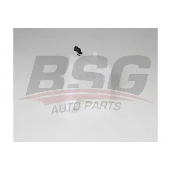 Vase d'expansion, liquide de refroidissement BSG BSG 65-550-016