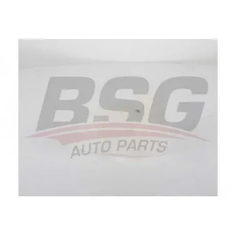 Vase d'expansion, liquide de refroidissement BSG BSG 65-550-017