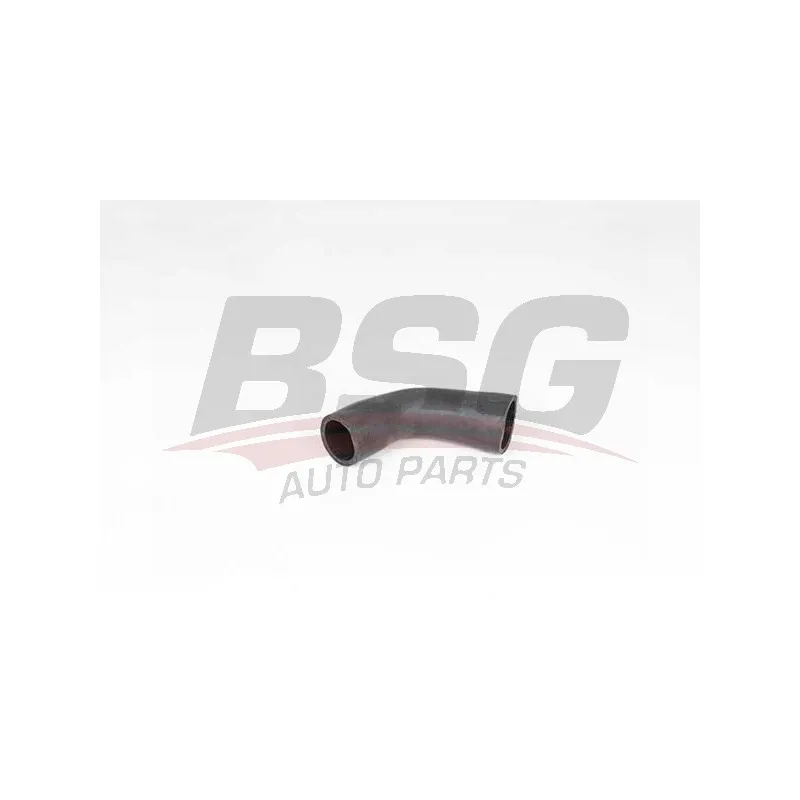 Gaine de suralimentation BSG BSG 65-700-343