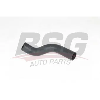 Gaine de suralimentation BSG BSG 65-700-344