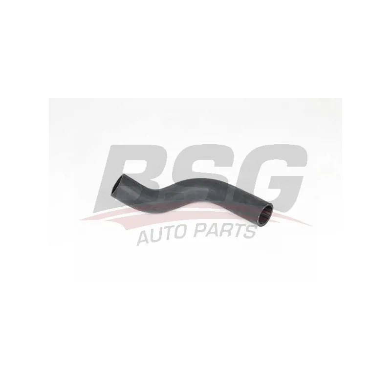 Gaine de suralimentation BSG BSG 65-700-344