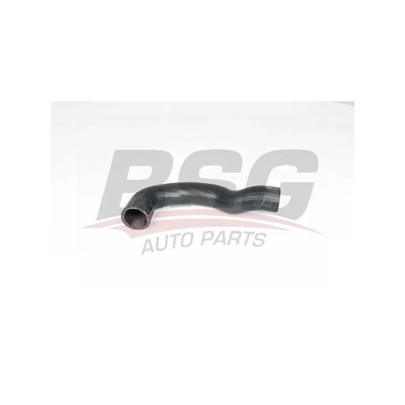 Gaine de suralimentation BSG BSG 65-700-349