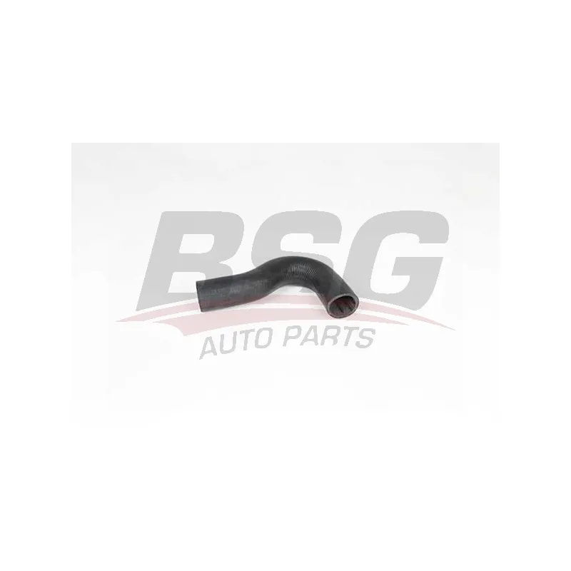 Gaine de suralimentation BSG BSG 65-700-352
