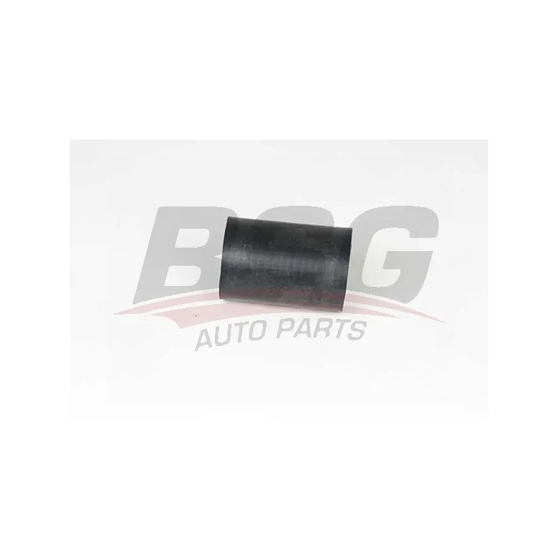 Gaine de suralimentation BSG BSG 65-700-353