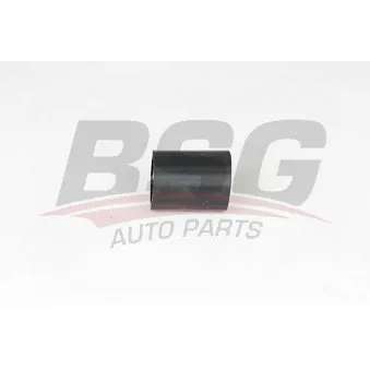 Gaine de suralimentation BSG BSG 65-700-362