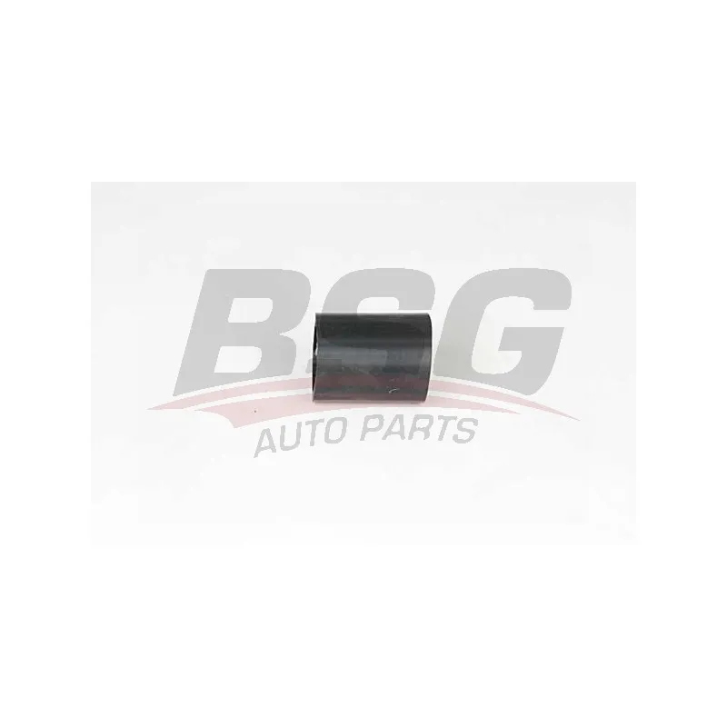 Gaine de suralimentation BSG BSG 65-700-362