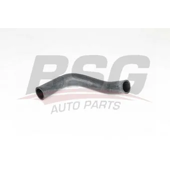 Durite de radiateur BSG BSG 65-700-365