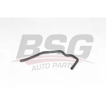 Flexible, aération de la housse de culasse BSG BSG 65-700-401
