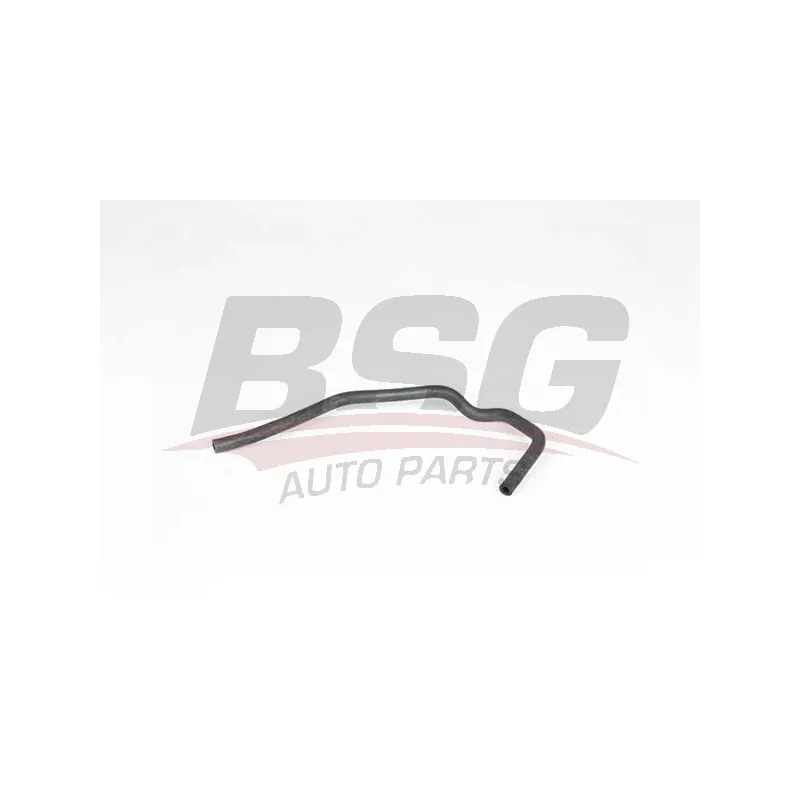 Flexible, aération de la housse de culasse BSG BSG 65-700-401