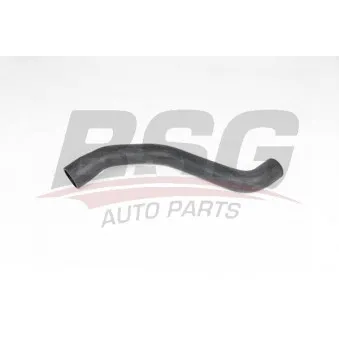 Durite de radiateur BSG BSG 65-700-411