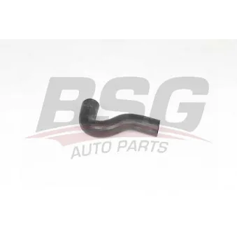 Durite de radiateur BSG BSG 65-700-415