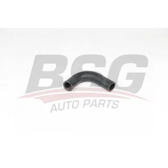 Durite de radiateur BSG BSG 65-700-417