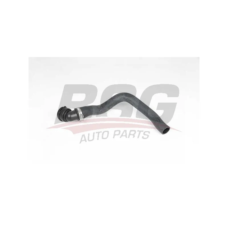 Durite de radiateur BSG BSG 65-700-420