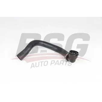 Durite de radiateur BSG BSG 65-700-422