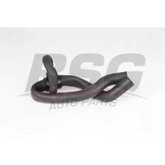 Durite de radiateur BSG BSG 65-700-445