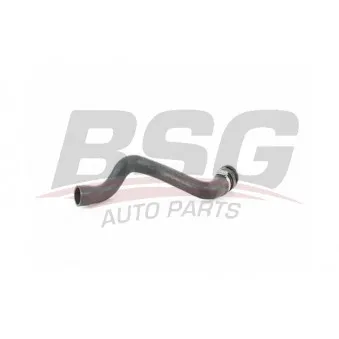 Durite de radiateur BSG BSG 65-700-461
