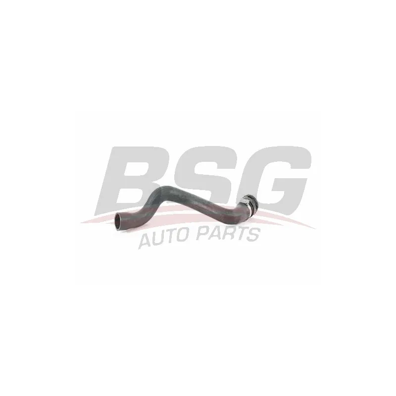 Durite de radiateur BSG BSG 65-700-461