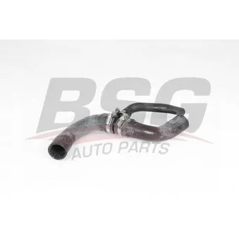Durite de radiateur BSG BSG 65-700-462