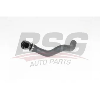 Durite de radiateur BSG BSG 65-700-466