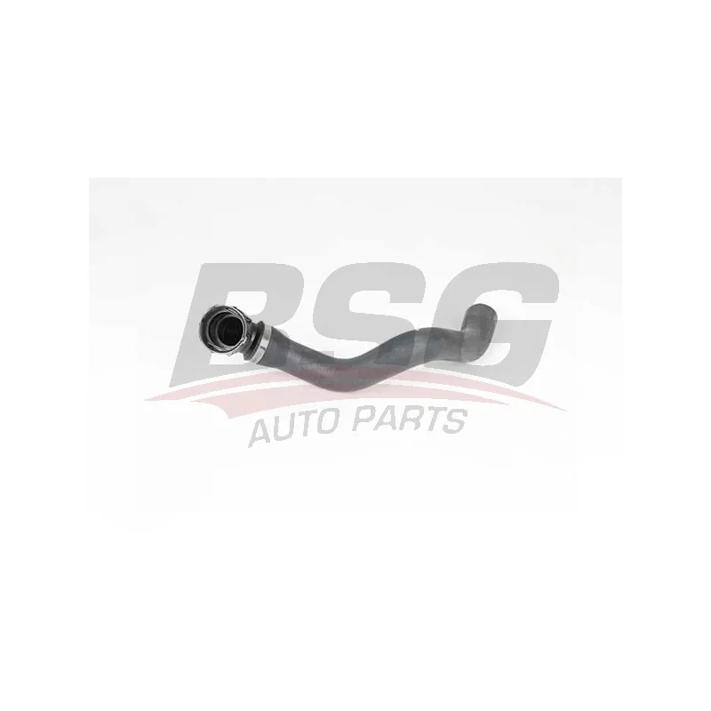 Durite de radiateur BSG BSG 65-700-466