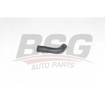 Durite de radiateur BSG BSG 65-700-468