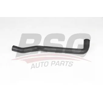 Durite de radiateur BSG BSG 65-700-479