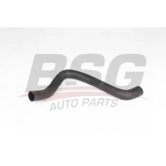 Durite de radiateur BSG BSG 65-700-488