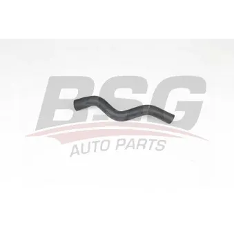 Tuyau, ventilation de carter-moteur BSG BSG 65-700-551