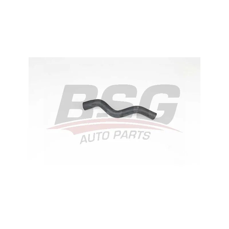Tuyau, ventilation de carter-moteur BSG BSG 65-700-551