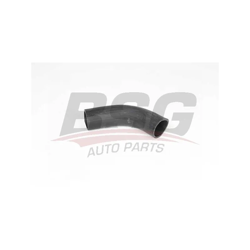 Tuyau d'aspiration, alimentation d'air BSG BSG 65-720-189